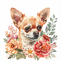 Animal Integration-DW 424